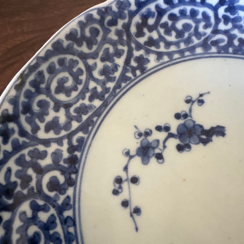 古伊万里 染付蛸唐草文 輪花七寸皿 太蛸！ 1枚 | Kaikaroman ONLINE STORE