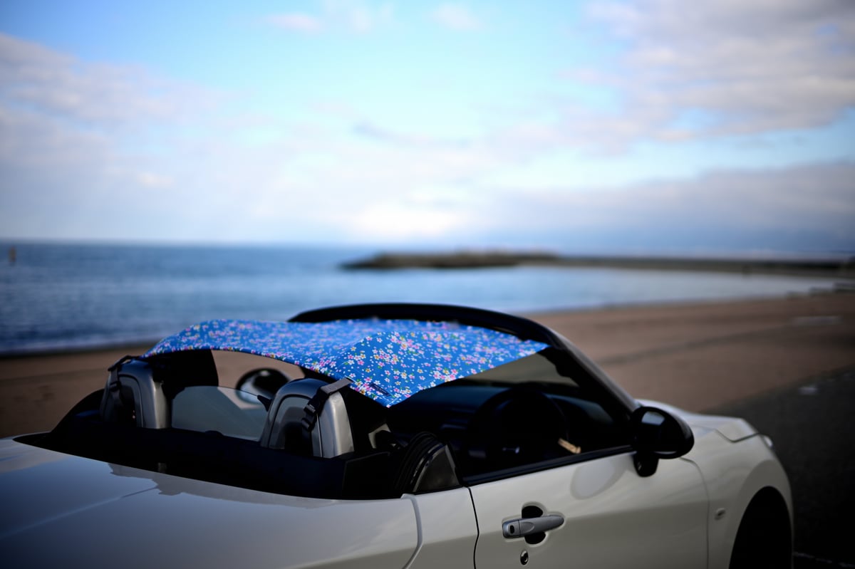 Copen AirTop®︎/カラー：桜ブルー】最新2026モデル コペン専用ビキニ