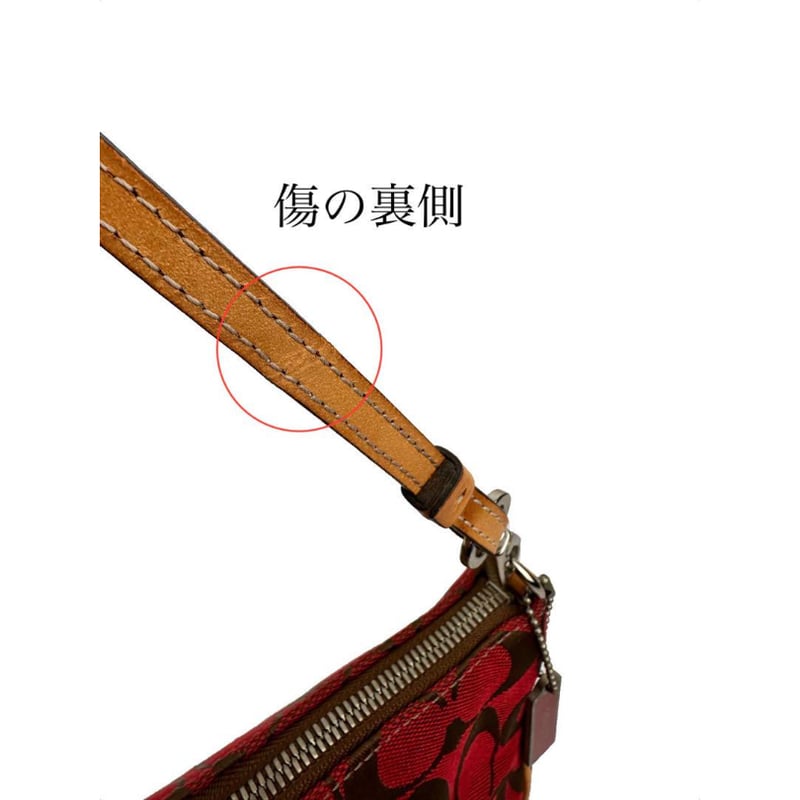 コーチ COACH ワンショルダー 6094 マルチポーチ シグネチャー