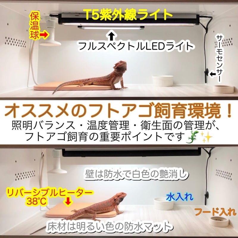 ◎30ケージ 照明器具セット付きセット | ポポのケージ