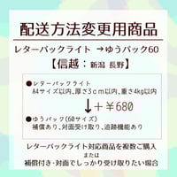 配送方法変更商品／レターパックライト→ゆうパック60サイズ(関東