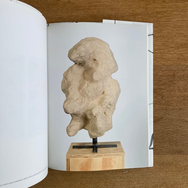 CHRISTOPHER WOOL | WHITEGREEN GALLERY