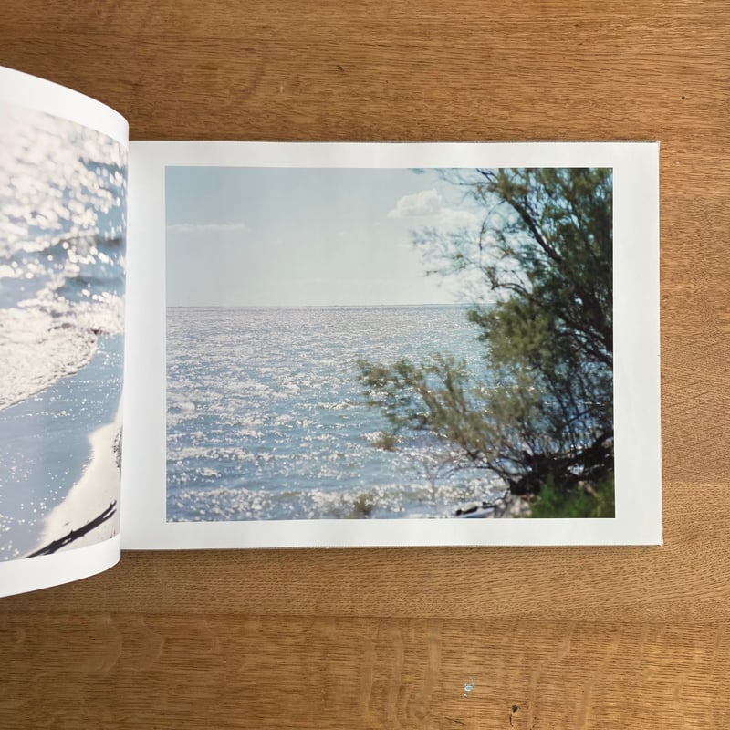 鈴木理策｜知覚の感光板 | WHITEGREEN GALLERY