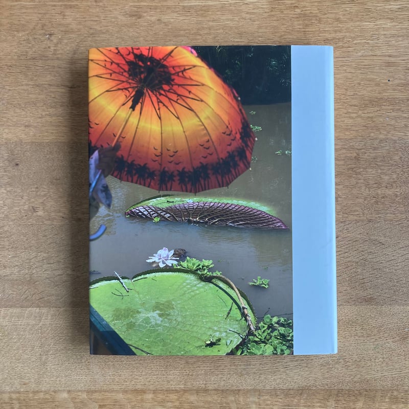 Wolfgang Tillmans | WHITEGREEN GALLERY