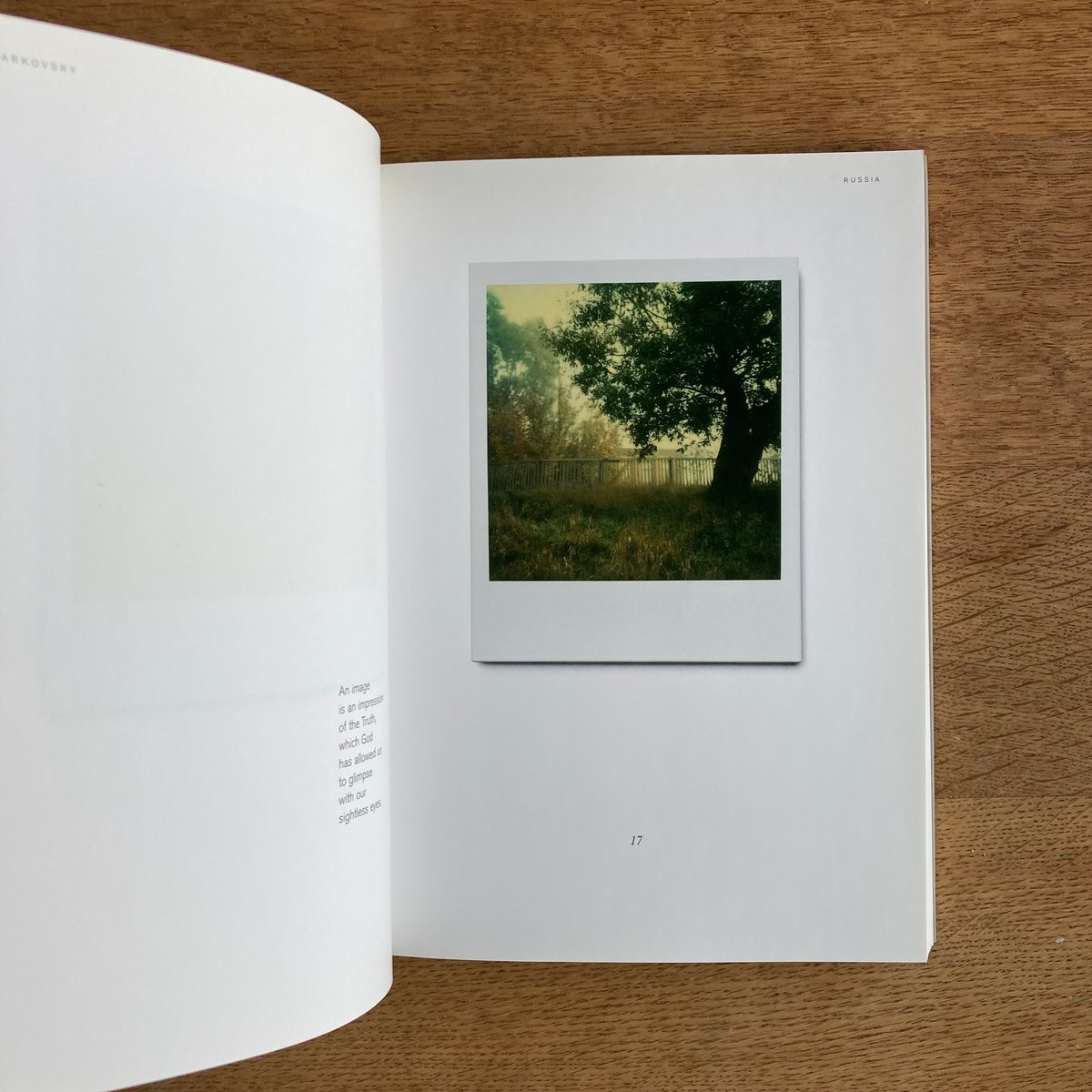 Tarkovsky Polaroids｜Instant Light | WHITEGREEN