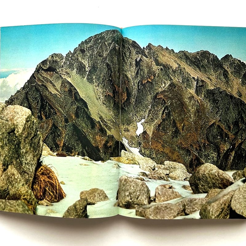 山の意匠 田淵行男写真集 | 本まるさんかくしかく