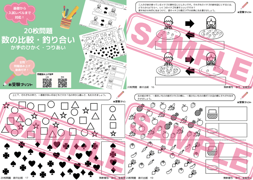 カリタス小学校編】お得な19科目：学校別ばっちりパック！全問音声付き