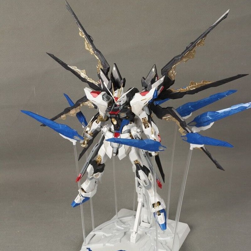 ガンダムSEED DESTINY カスタムデザインガンプラ MG 1/100 ストライク