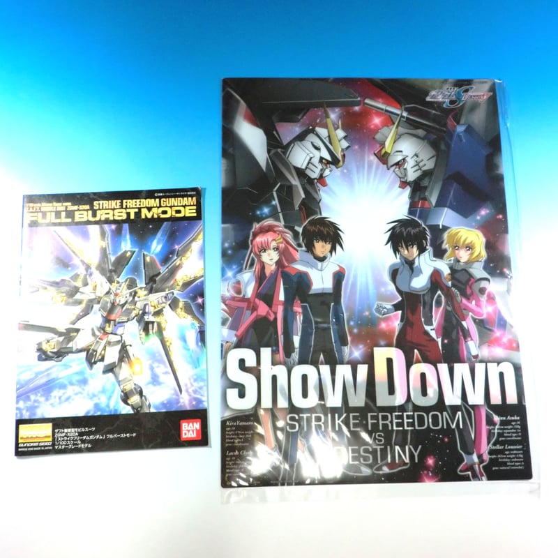 ガンダムSEED DESTINY BANDAI MG 1/100 ストライクフリーダムガンダム