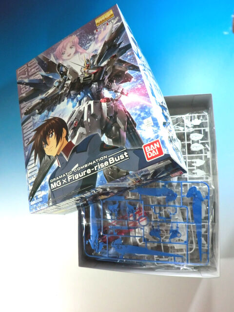 ガンダムSEED BANDAI ドラマティックコンビネーション MG 1/100