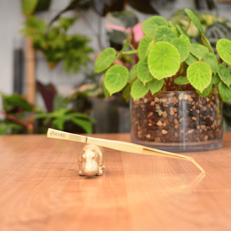 外山刃物】x【花森家】ゴールドピンセット | 花森家-2号店-