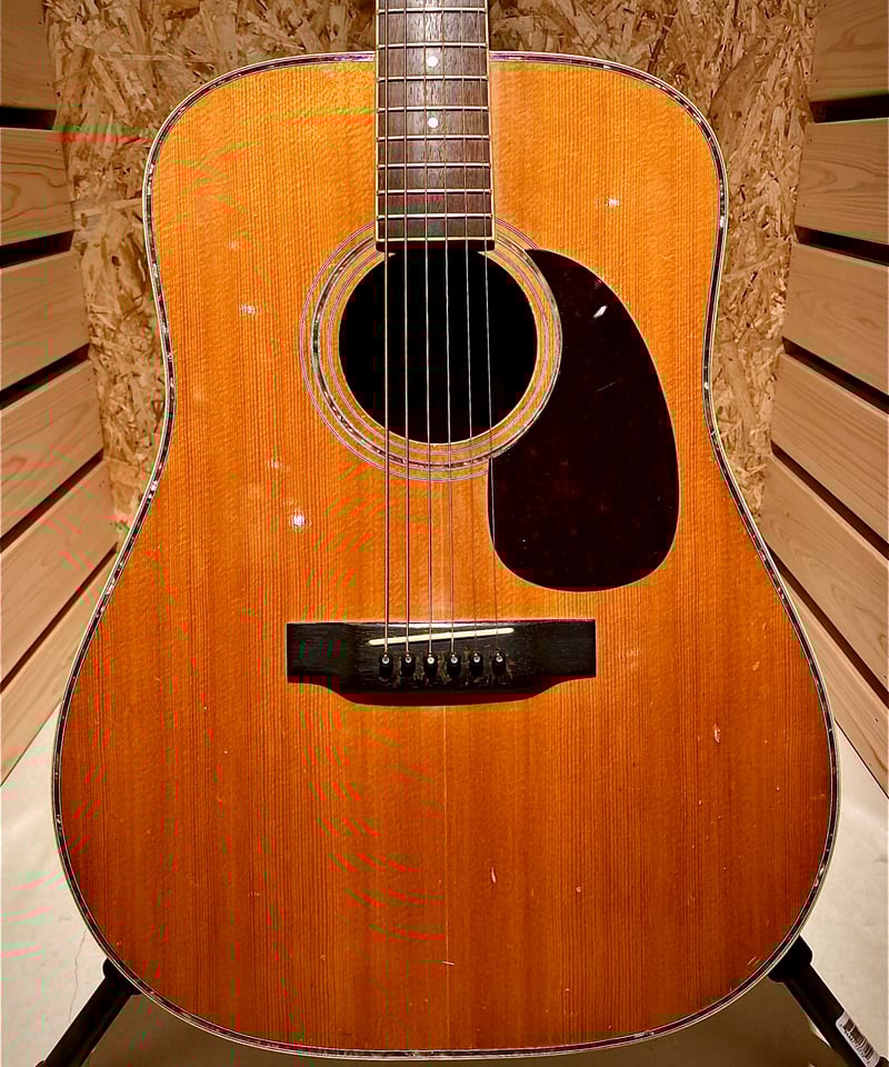 Morris W-35 | Guitarshop SOUNDNINE