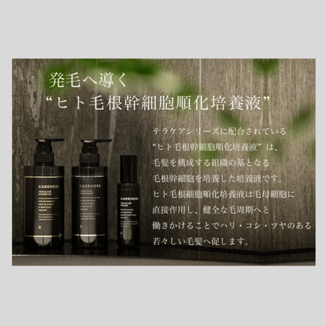 CARENESS（ケアネス） テラケア スカルプミスト 100mL | Muscle Sablier