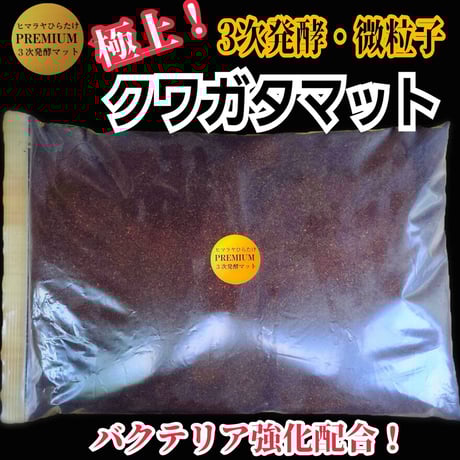 インセクトショップ