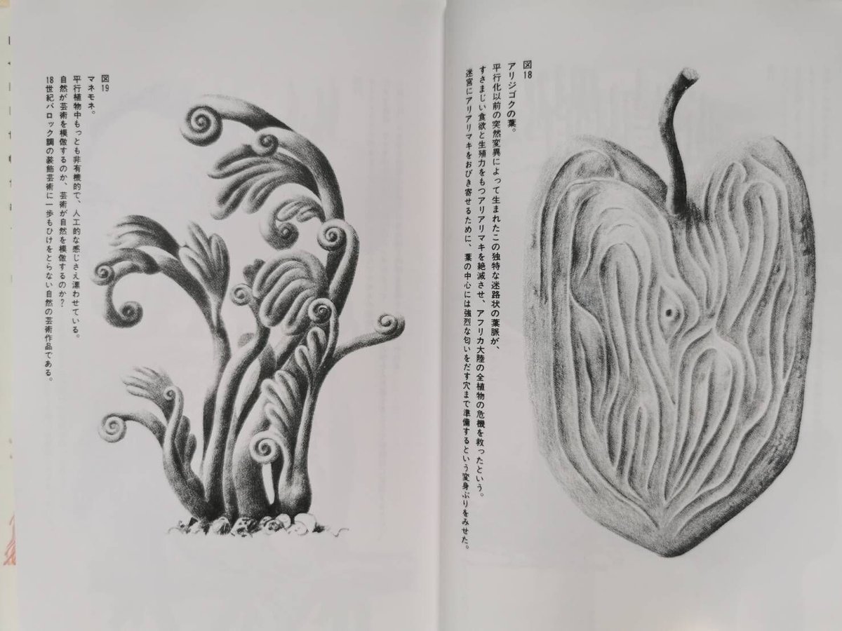 平行植物 - レオ・レオーニ | GREENTHINGS STORE and MUSIC DEPT.