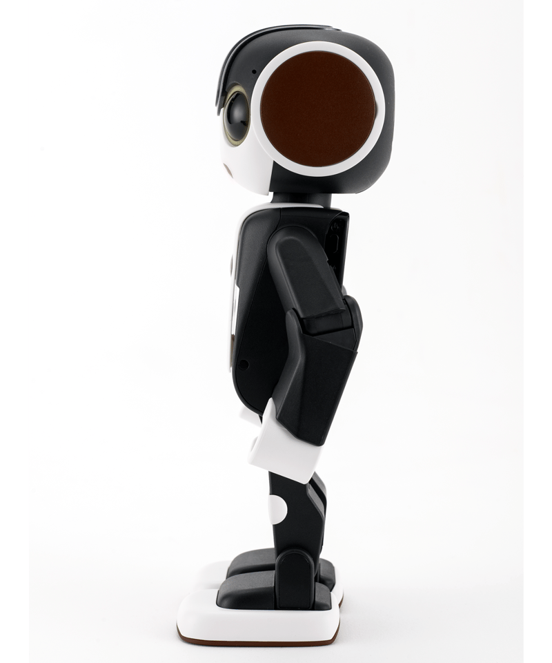 ロボホン ショコラ | Robot Planet Online store