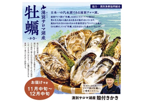 フードアソート アクア