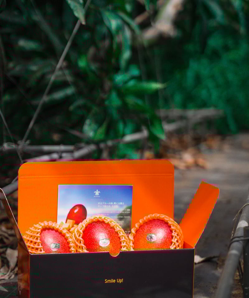 宮古島産「完熟マンゴー」1kg | Blue Turtle Farm & Mango Cafe