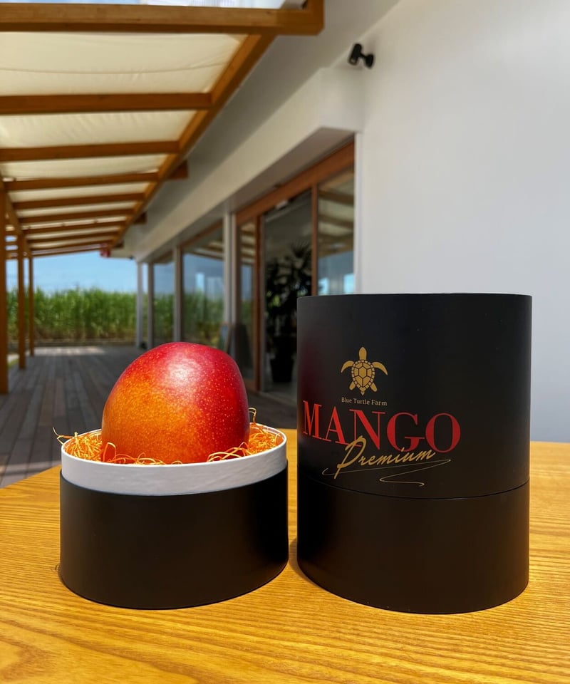 宮古島産「最高級プレミアム・完熟マンゴー」1大玉 限定品 | Blue
