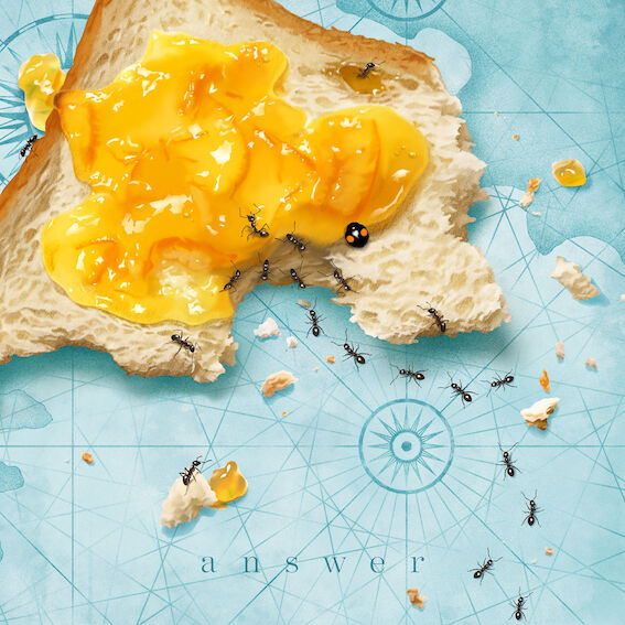 fit=scale-down,w=1200