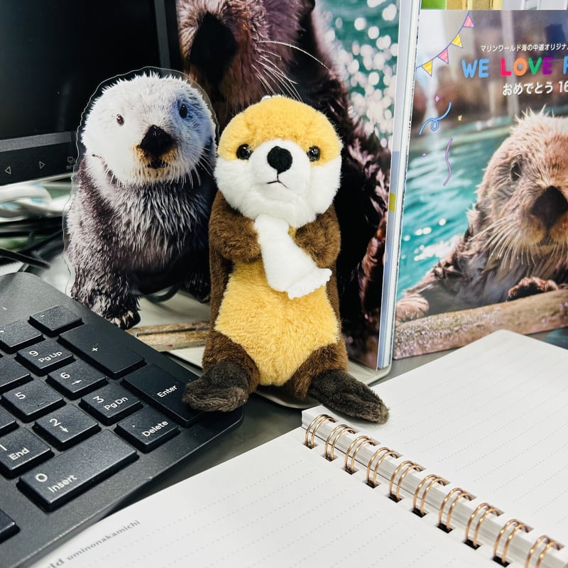 dou dou マスコット いつもいっしょ ともだちラッコ | すいそう