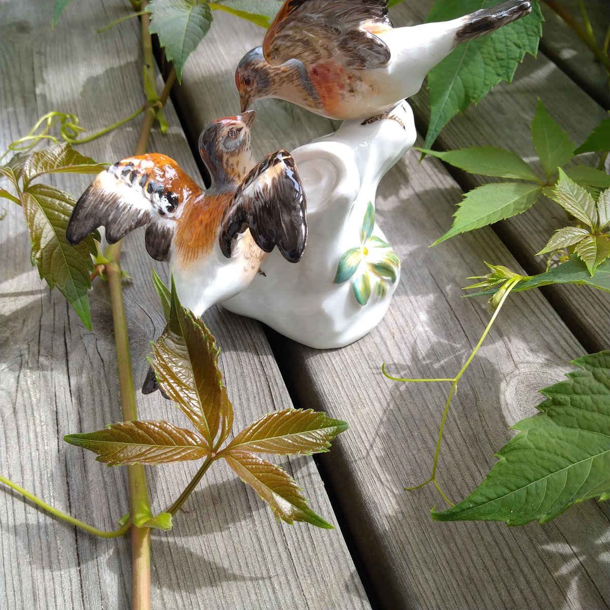 fit=scale-down,w=1200