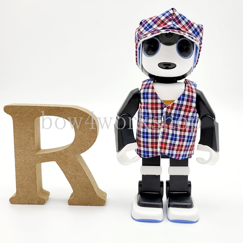 ロボホンの服/チェック柄リバーシブルキャップットセット