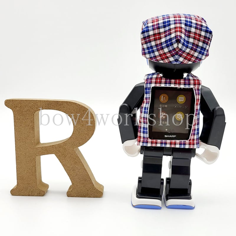 ロボホンの服/チェック柄リバーシブルキャップットセット