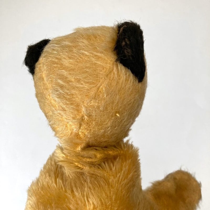 sooty puppet アンティークスーティベア | cocon