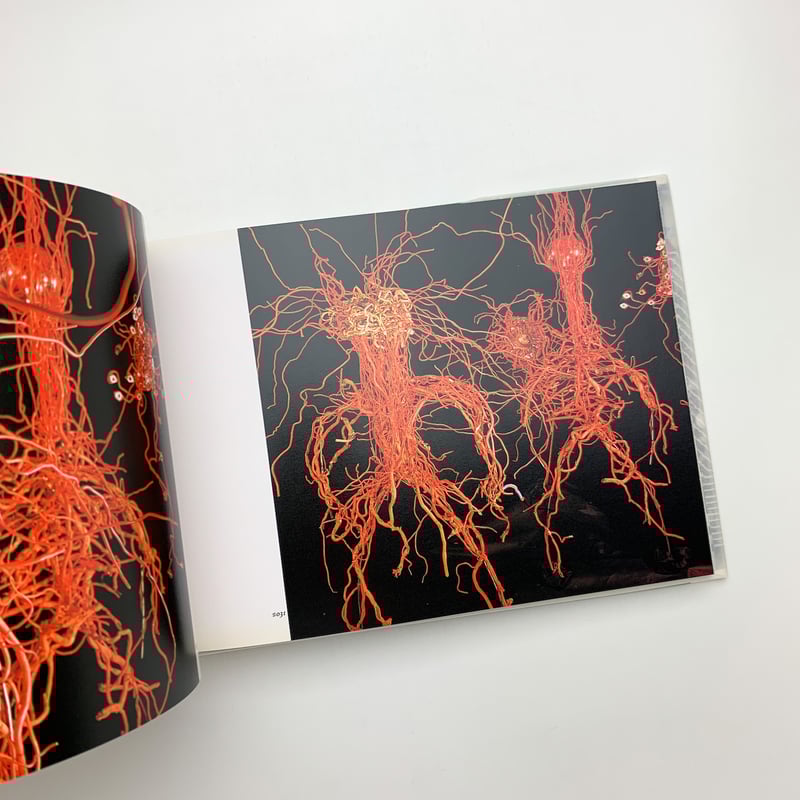 オール・ハイブリッド/三上晴子 | 玄玄書林