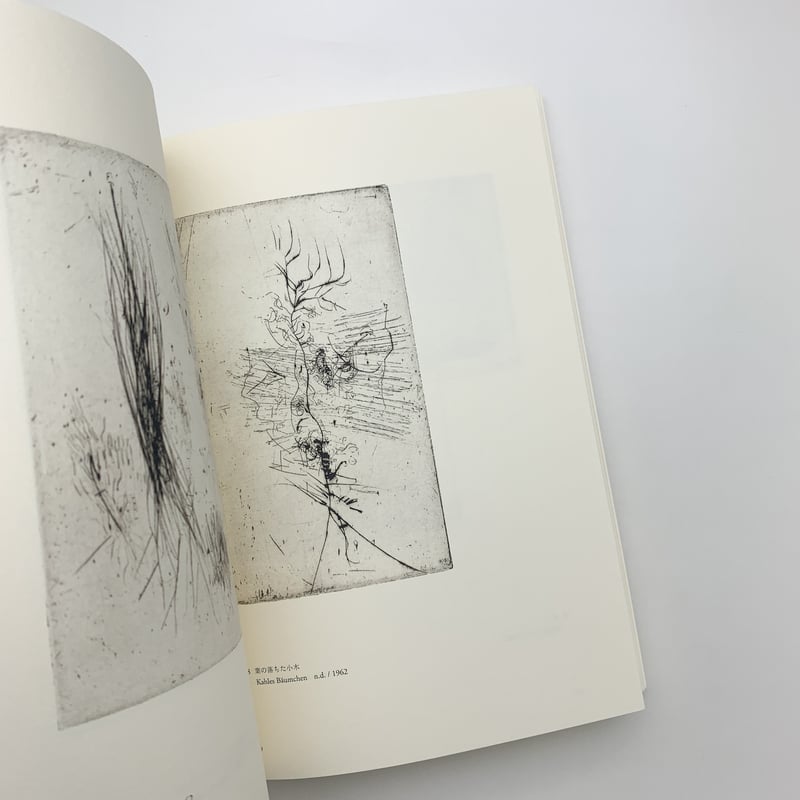 ヴォルス 路上から宇宙へ | 玄玄書林