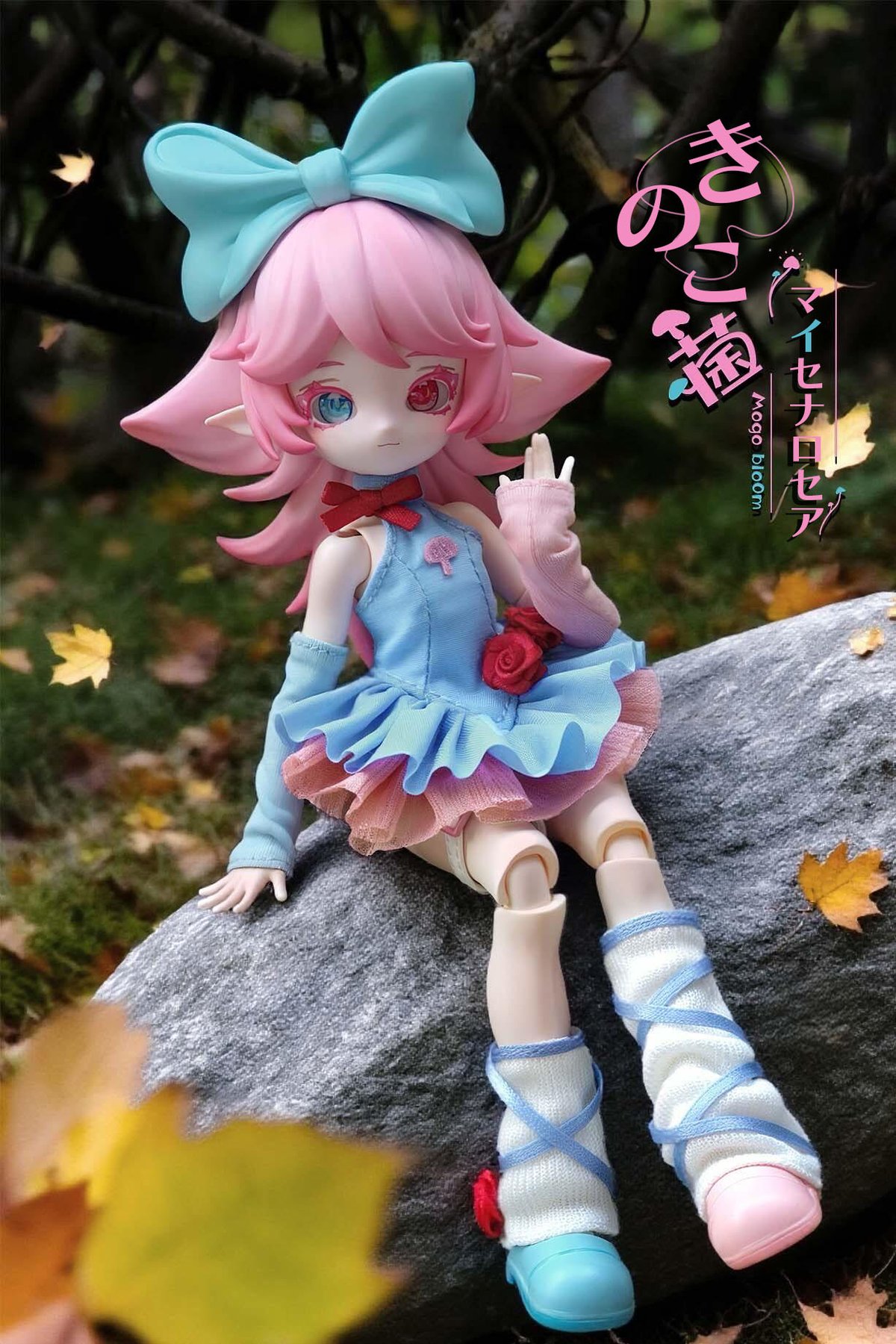 予約販売：2026年1月～2月頃 お届け予定】<公式限定初回予約特典付き