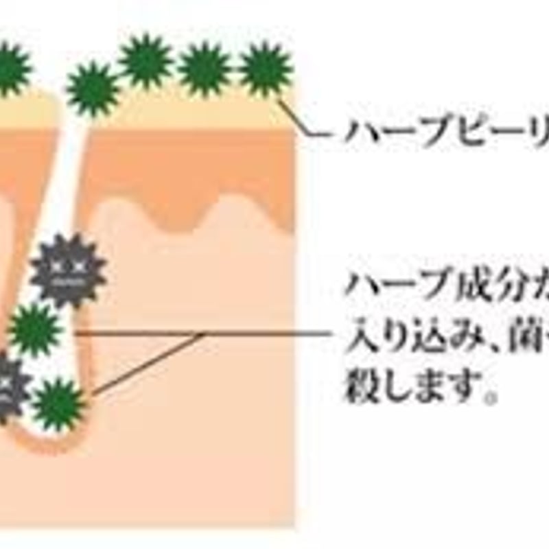 AMAROS O.H.L ハーブピーリングセット | SAVIAN