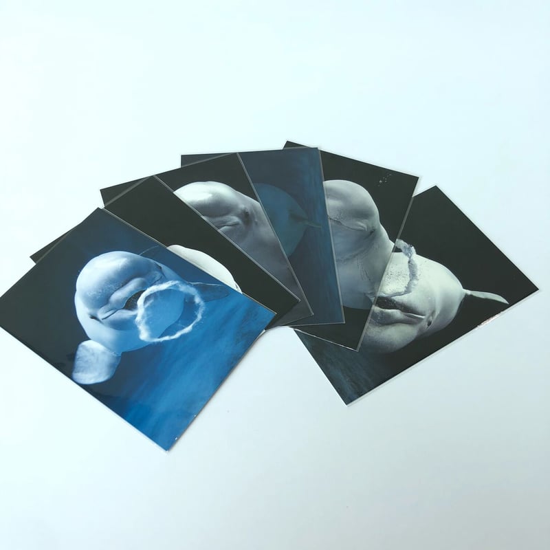 AQUASオリジナルポストカード ➀ | AQUAS Gift Shop / online