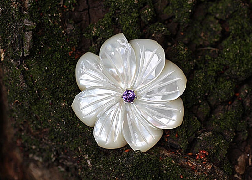 白蝶貝ブローチ BN-13 | 貝工房 かざはな