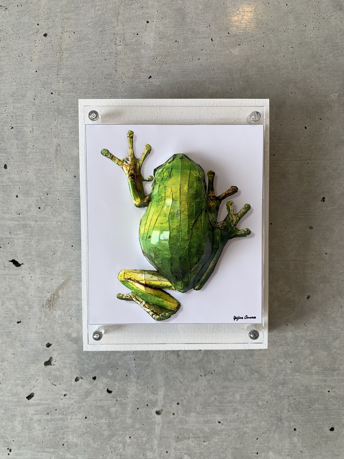 大村洋二朗 アマガエルは壁に張り付く | ギャラリー兼井