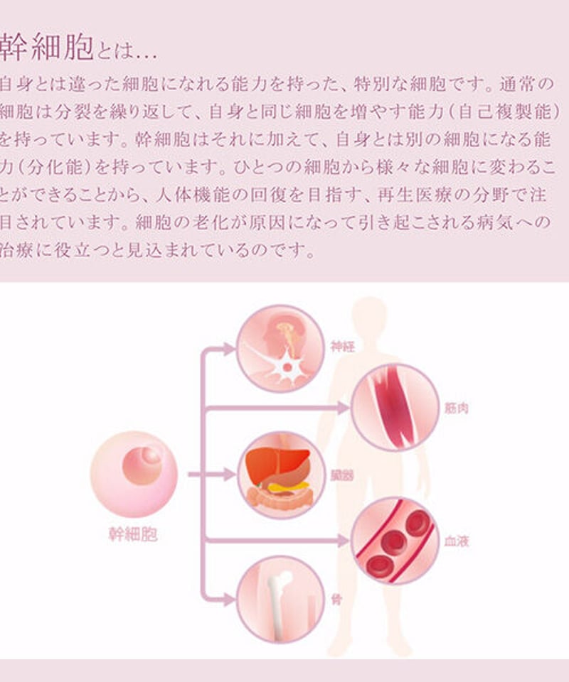 セルロジーコスメ＞ リッチクリーム 30g | 隠れ家salonいろは STORES