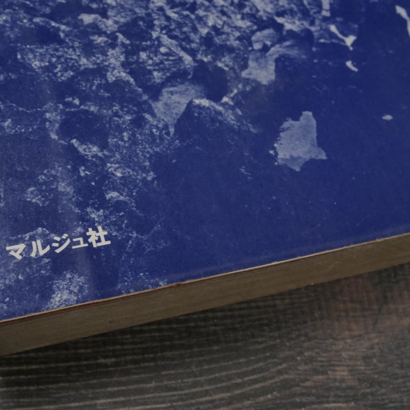 逃げる兵 サンゴ礁の碑 渡辺憲央 | 古書店うみつばめ