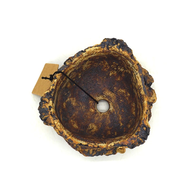 平松龍馬】亀烈文金彩植木鉢 3号（P705） | LEO.