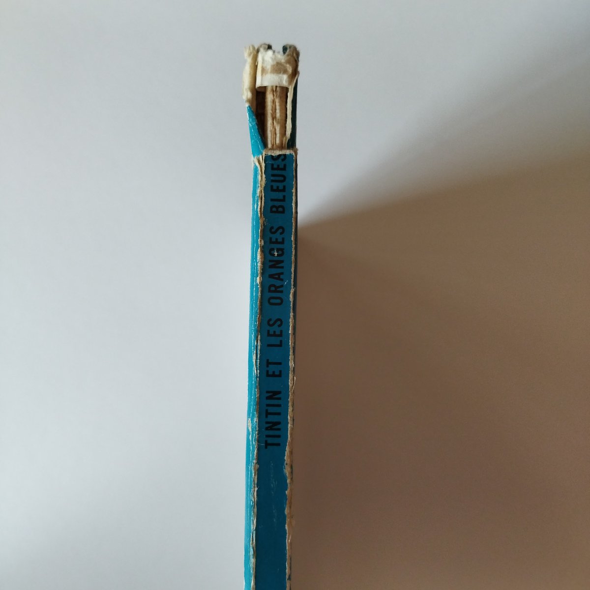 tin tin et les oranges bleues』タンタンと青いオレンジ・実写絵本