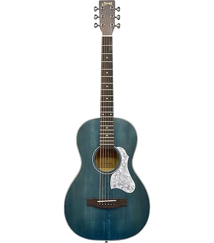 Amazon | S.Yairi ヤイリ Traditional Series アコースティックギター