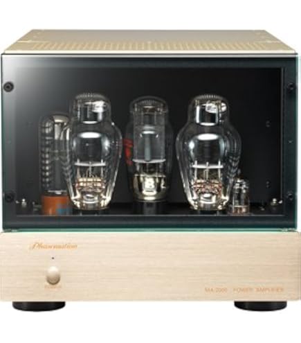Amazon.co.jp: TRIODE TRX-P300S-WE300B Triode Vacuum Tube Stereo