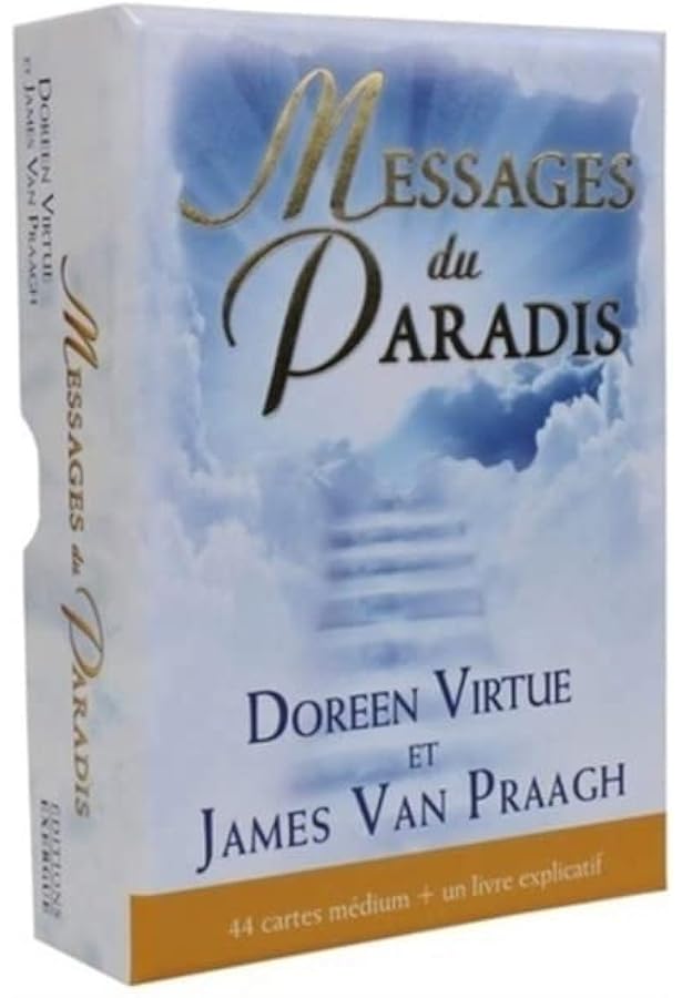 トーキングトゥヘブン ミディアムシップカード日本語版説明書付