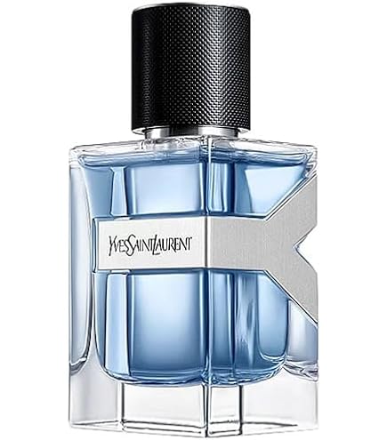Amazon | イヴサンローラン Y (イグレック) メン EDT 100ml(並行輸入品