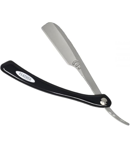 Amazon.co.jp: salonjapan フェザー アーティストクラブDXレザー 1個