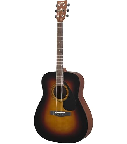 Amazon | Takamine タカミネ G Series Dreadnought Cutaway エレアコ