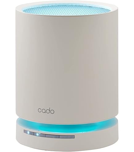 Amazon.co.jp: LEAF Portable（ゴールド） : ホーム＆キッチン