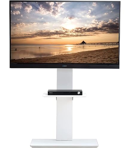 Amazon.co.jp: ハヤミ工産 【HAMILeX】 「KPシリーズ」 テレビ転倒防止