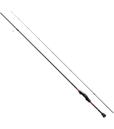 Amazon | ダイワ(DAIWA) アジングロッド 月下美人EX AGS アジング 55L