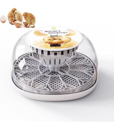 Amazon | 爬虫類用孵卵器 RcomレプタイルMAX90 ジュラゴン, 温度・湿度